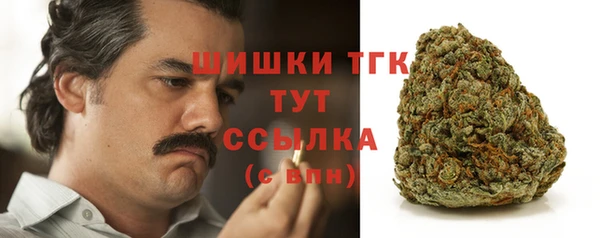 шишки Лиски