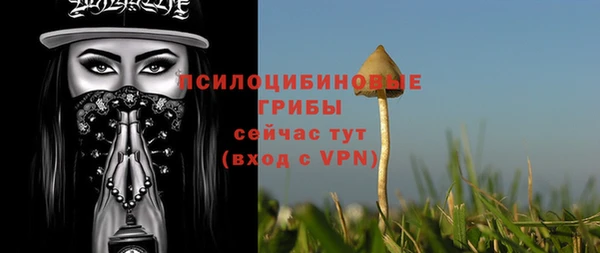 спайс Ладушкин