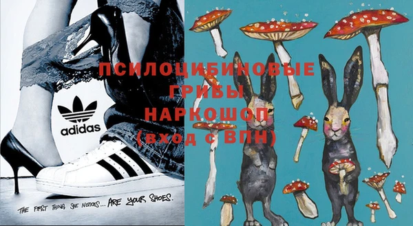 спиды Липки