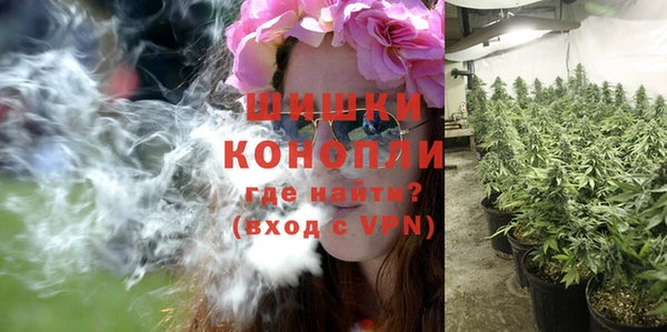 ешки Лагань