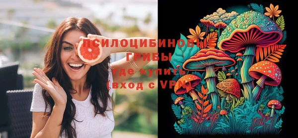 стафф Приозерск