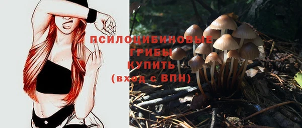 шишки Лиски